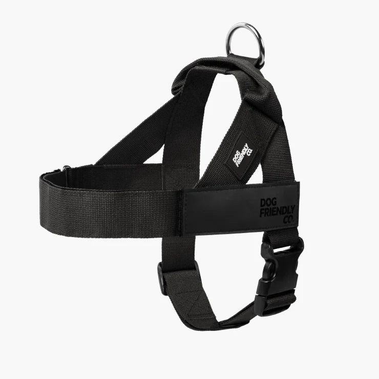 Transform your walks with the harness trusted by over 1 million dog owners