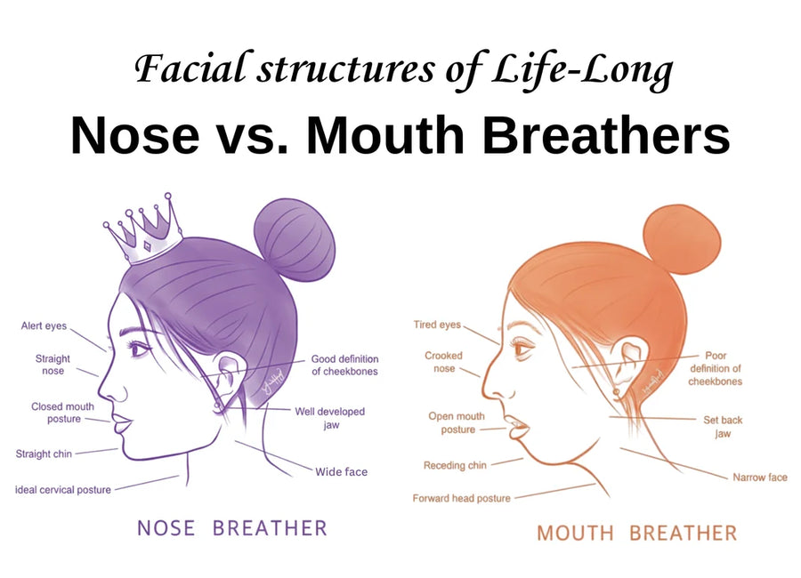 How You Breathe Shapes How You Look